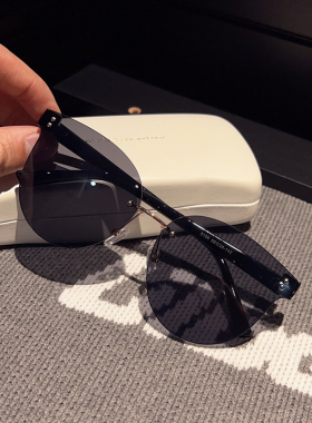 新款墨镜女高级感ins网红款