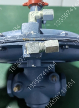 议价：ESA PYRONICS 8BZR-NPT燃气调节阀，型号2