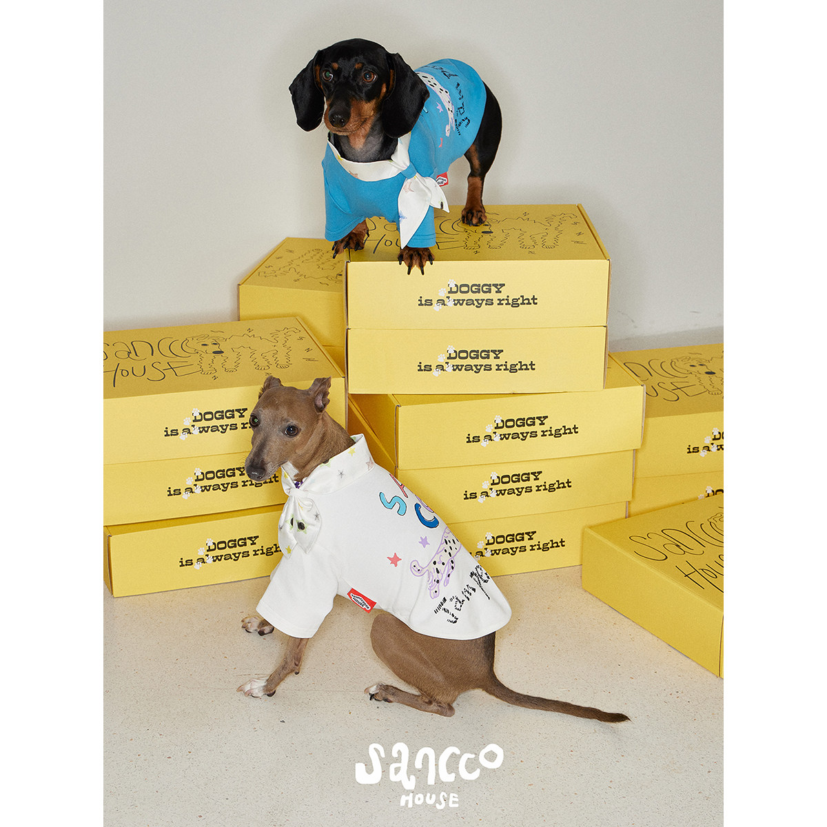 SANCCO「I'm pet lover」宠物款狗狗印花两脚拼接星星领结t恤