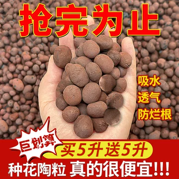 陶粒垫底养花专用多肉土盆栽铺面石花盆水培透气陶土粒回填卫生间