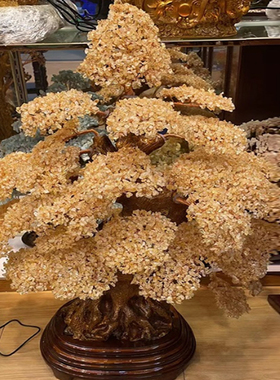 天然黄水晶榕树橄榄石加密大小颗粒摇钱树发财树开业礼品家居摆件