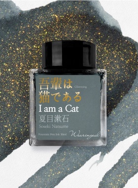 正装现货wearingeul韩国墨水wl钢笔彩墨 我是猫