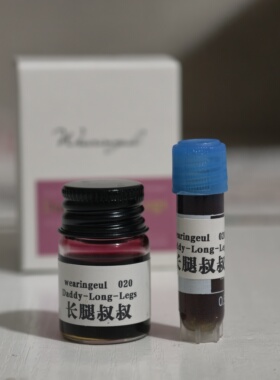 前1000名包邮 wearingeul钢笔墨水wl彩墨分装5ml/2ml试色（a至p）