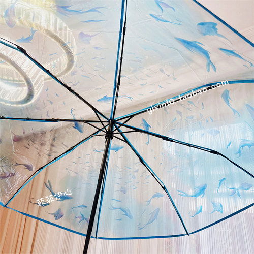 高颜值暴雨网红可爱鲸鱼水母雨伞