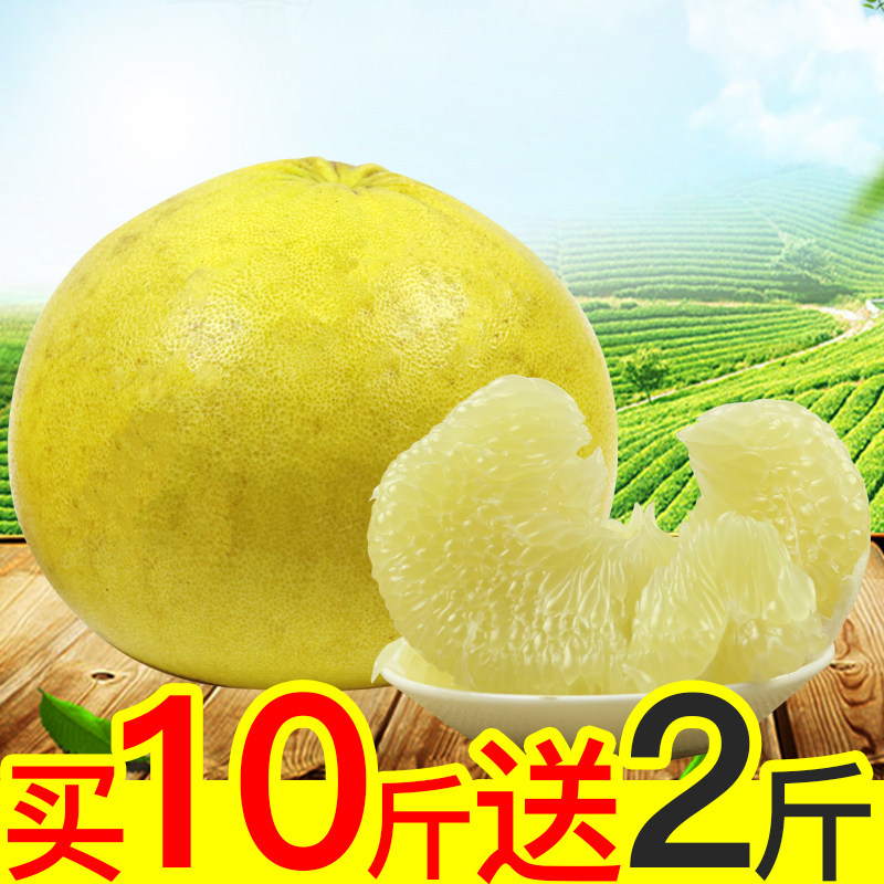 重庆梁平柚子正宗梁山柚新鲜水果龙潭柚平顶苦麻柚