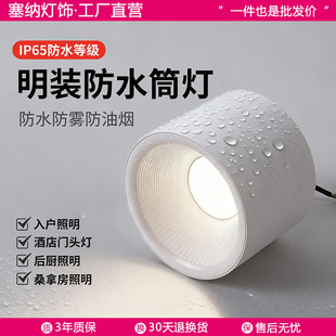 明装防水筒灯户外商铺门头灯酒店入户大门屋檐阳光房雨棚吸顶射灯