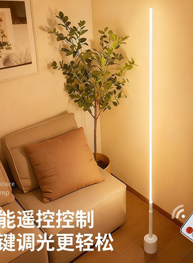 落地灯ins简约北欧led客厅轻奢卧室护眼台灯床头灯墙角氛围灯