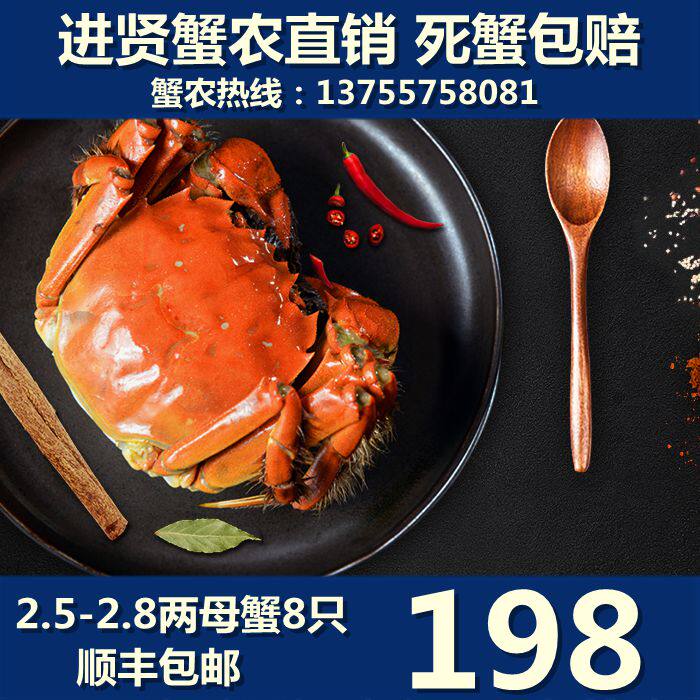 军山湖大闸蟹  活蟹   2.5-2.8两 母蟹8只 包邮 江西特产 死包赔