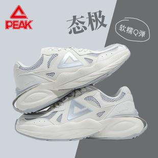 匹克态极男鞋男士秋冬软弹轻便运动鞋男款舒适复古休闲老爹鞋子男