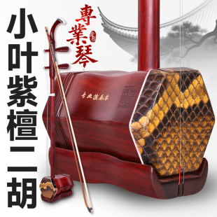 紫檀二胡专业演奏琴非洲小叶紫檀木成人儿童考级麻花螺纹轴二胡