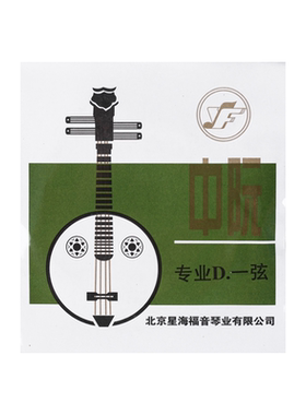 北京星海福音专业独奏中阮弦