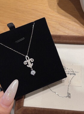 S925银鸢尾花满钻项链女轻奢小众高级感锁骨链2026新款生日送礼物