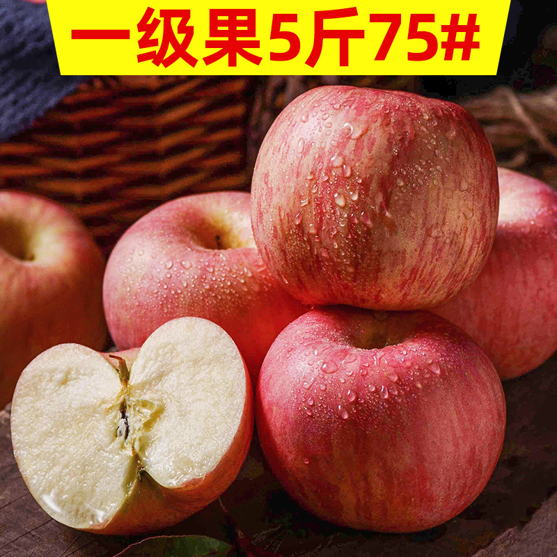 29.90元包邮张格庄烟台栖霞苹果水果新鲜一箱当季现货山东小苹果5斤脆红富士