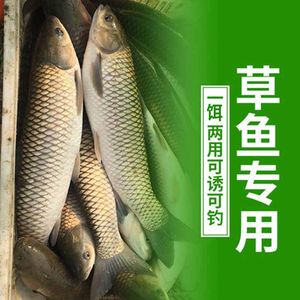 野钓草鱼专用饵料鱼打浮饵料