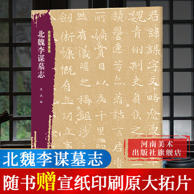 【旗舰正版】北魏李谋墓志北朝墓志精选字帖+原大整拓 魏碑楷书毛笔书法字帖穆亮元桢等墓志铭精选毛笔练字古帖书籍河南美术出版社