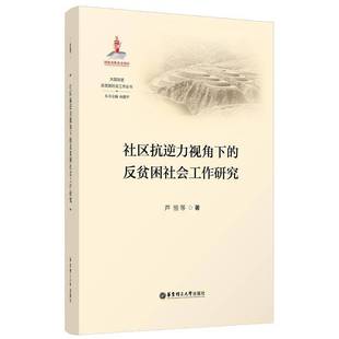 社区抗逆力视角下 社 反贫困社会工作研究芦恒等华东理工大学出版
