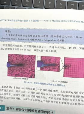 ANSYS CFD网格划分技术指南与实例详解——ANSYS MESHING/ICEM CFD/ FLUENT MESHING王进机械工业出版社
