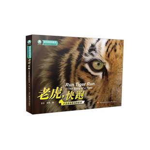 故事 the tiger安生中央广播电视大学出版 快跑 社 小老虎泰格亮 老虎 story