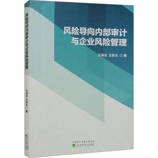 风险导向内部审计与企业风险管理王海龙经济科学出版 社