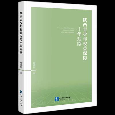 陕西青少年权益保障十年观察:a ten-year investigation褚宸舸知识产权出版社