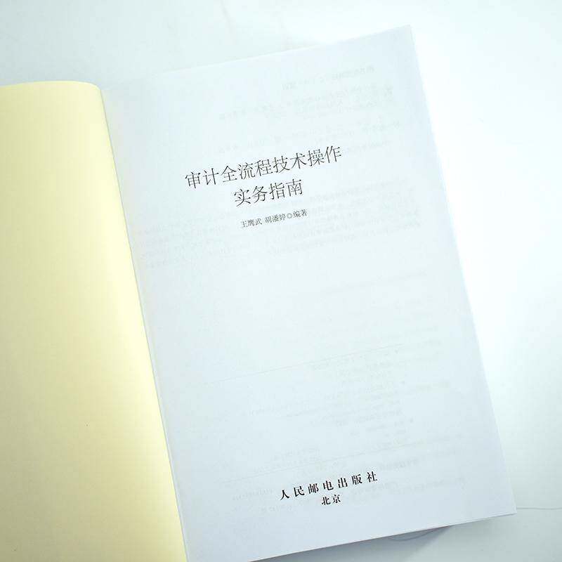 审计全流程技术操作实务指南王鹰武人民邮电出版社