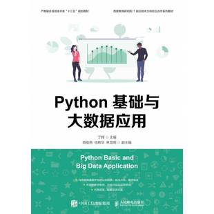 社 孙玉娣人民邮电出版 数据分析基础与案例实战 基于Excel软件