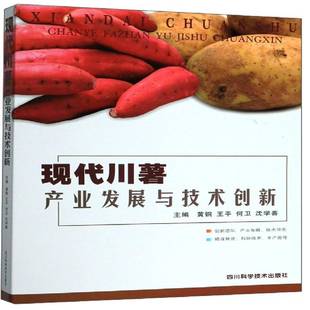 现代川薯产业发展与技术创新黄钢四川科学技术出版 社