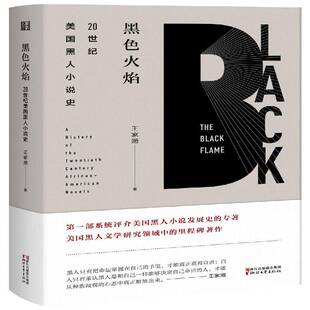 黑色火焰:20世纪美国黑人小说史:a history of the twentieth century african-American novels王家湘浙江文艺出版社