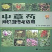 中草药辨识图谱与应用谢明辽宁科学技术出版 社