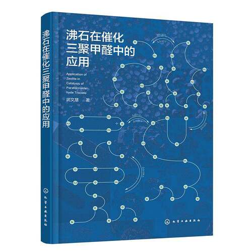 沸石在催化三聚甲醛中的应用武文慧化学工业出版社