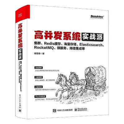 高并发系统实战派：集群、Redis缓存、海量存储、Elasticsearch、RocketMQ、微服务、持续集成等谢恩德电子工业出版社