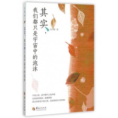 其实，我们都只是宇宙中的泡沫吴九箴华夏出版社