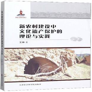 新农村建设中文化遗产保护 社 理论与实践王琳天津社会科学院出版