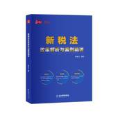 新税法政策解析与案例精讲翟继光企业管理出版 社