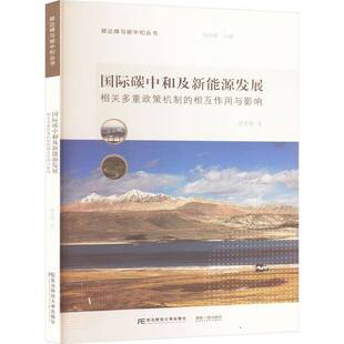 碳中和及新能源发展：相关多重政策机制 社 相互作用与影响许光清东北财经大学出版