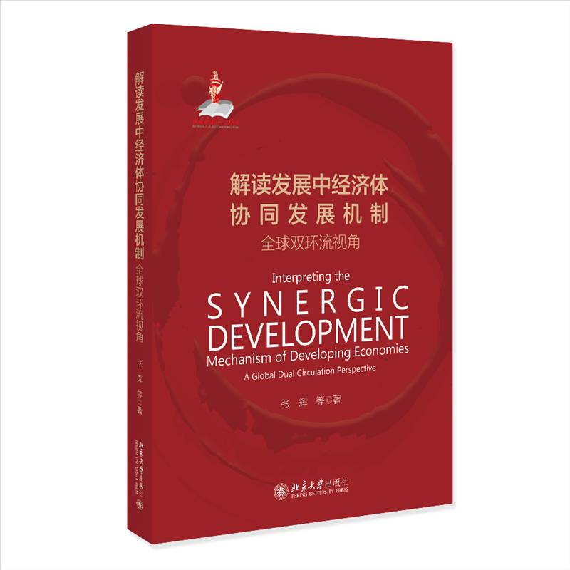 解读发展中经济体协同发展机制:全球双环流视角:a global dual circulation perspective张辉等北京大学出版社