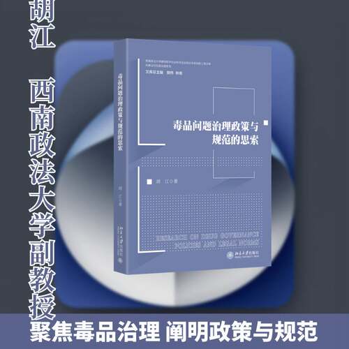 问题治理政策与规范的思索胡江北京大学出版社