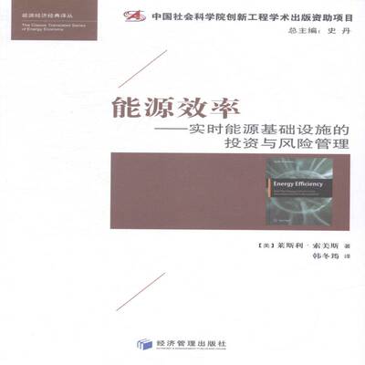 能源效率:实时能源基础设施的投资与风险管理:real time energy infrastructure investment and ris莱斯利·索美斯经济管理出版社
