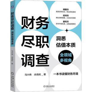 财务尽职调查 社 洞悉估值本质马兴伟机械工业出版