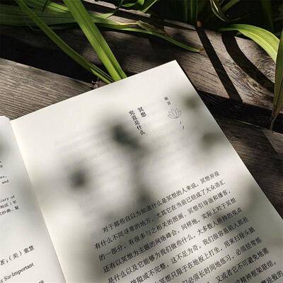 正念地活:拥抱当下的力量:mindfulness and why it is so important乔恩·卡巴金_机械工业出版社