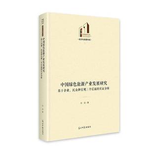 实证分析张焱光明社 民众和宏观三个层面 中国绿色能源产业发展研究 基于企业