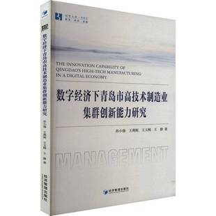 数字经济下青岛市高技术制造业集群创新能力研究孙小强经济管理出版 社