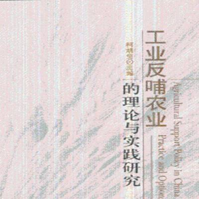 工业反哺农业的理论与实践研究:practice and options柯炳生人民出版社