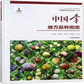 中国李地方品种图志曹尚银等中国林业出版 社