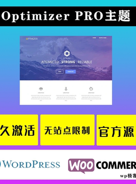 Optimizer PRO WP主题 Wordpress 多功能响应式自定义网站模板