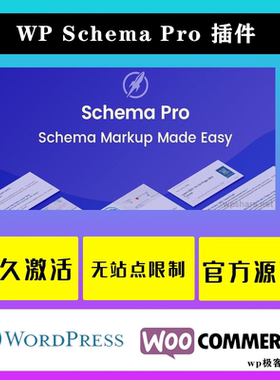 WP Schema Pro WP插件 中文版 自动化摘要标记自定义SEO插件