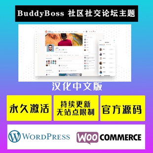 BuddyBoss 汉化中文版 在线会员资格 社区社交论坛主题