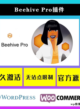 Beehive Pro WP插件 中文版 Google Analytics谷歌分析自定义设置