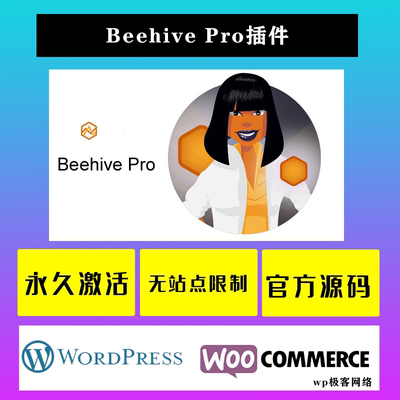 Beehive Pro WP插件 中文版 Google Analytics谷歌分析自定义设置