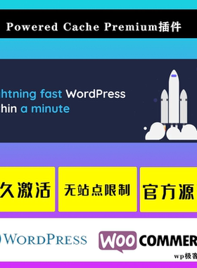 Powered Cache Premium 汉化中文版 WordPress速度优化缓存插件